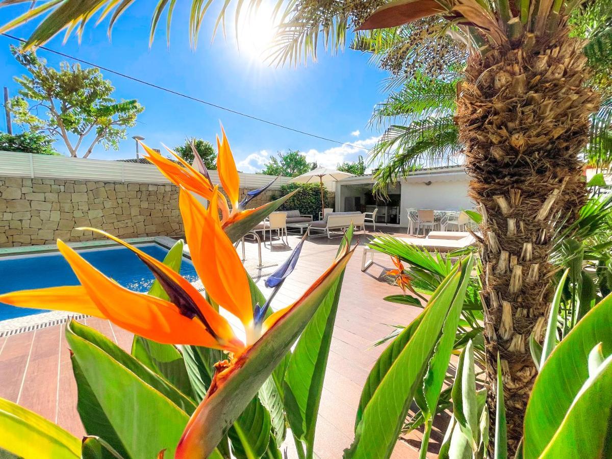 Villa Haygon Private Heated Pool, Bbq & Sauna San Vicente Raspeig Dış mekan fotoğraf