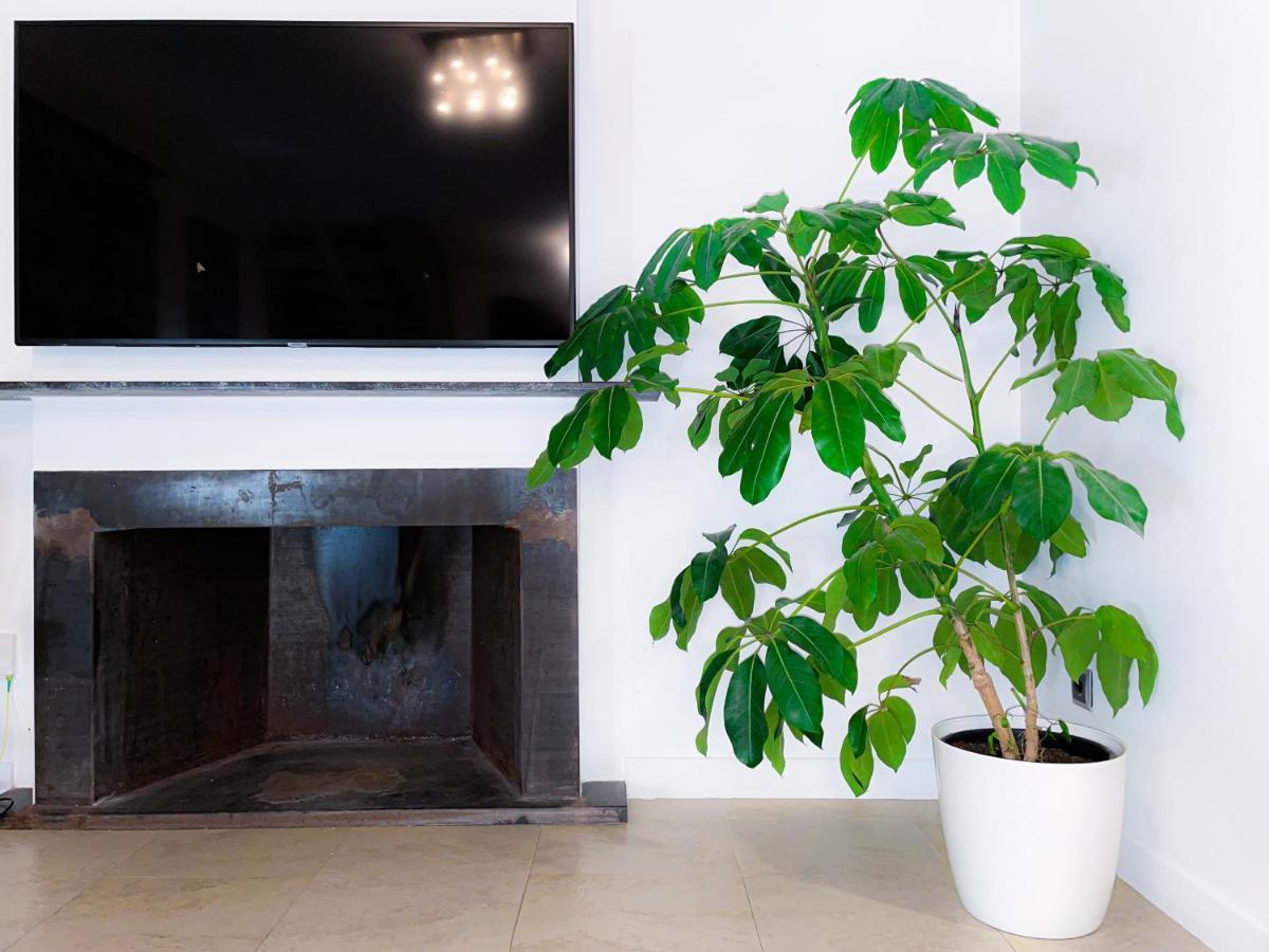 Villa Haygon Private Heated Pool, Bbq & Sauna San Vicente Raspeig Dış mekan fotoğraf
